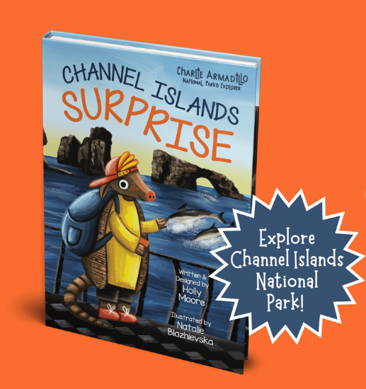 Explorer Series) - Channel Islands Surprise